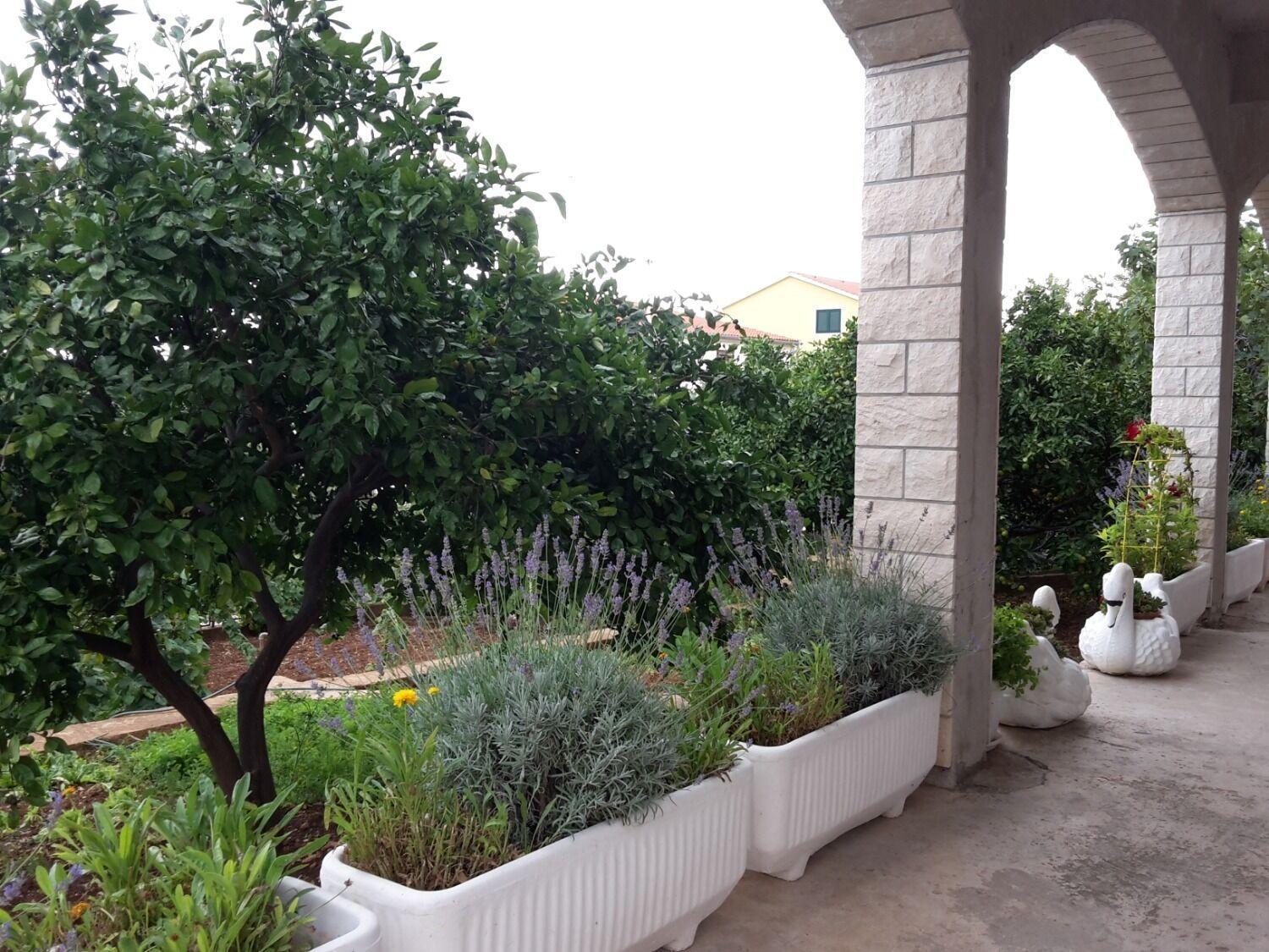 Apartments Josi - Parking And Barbecue Grebaštica Exterior foto